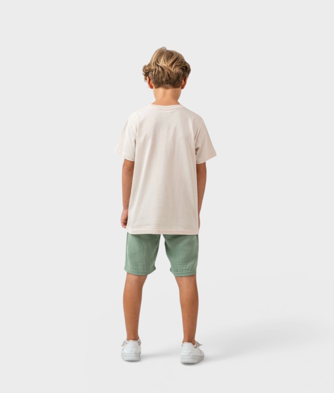 Erkek Çocuk Bej T-Shirt Mint Şort US Polo Baskılı Takım